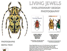 Tablet Screenshot of living-jewels.com